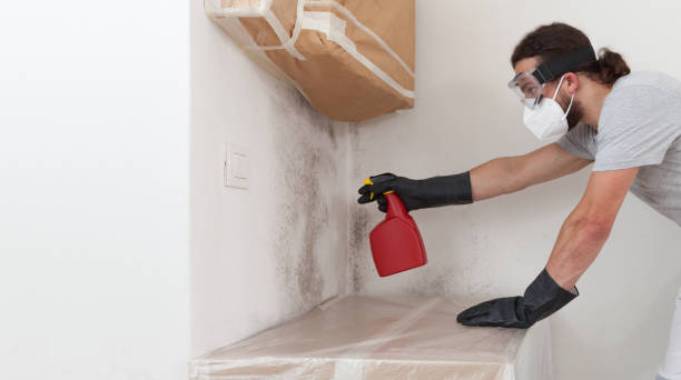 Professional Mold Testing technician working in Dover, MA